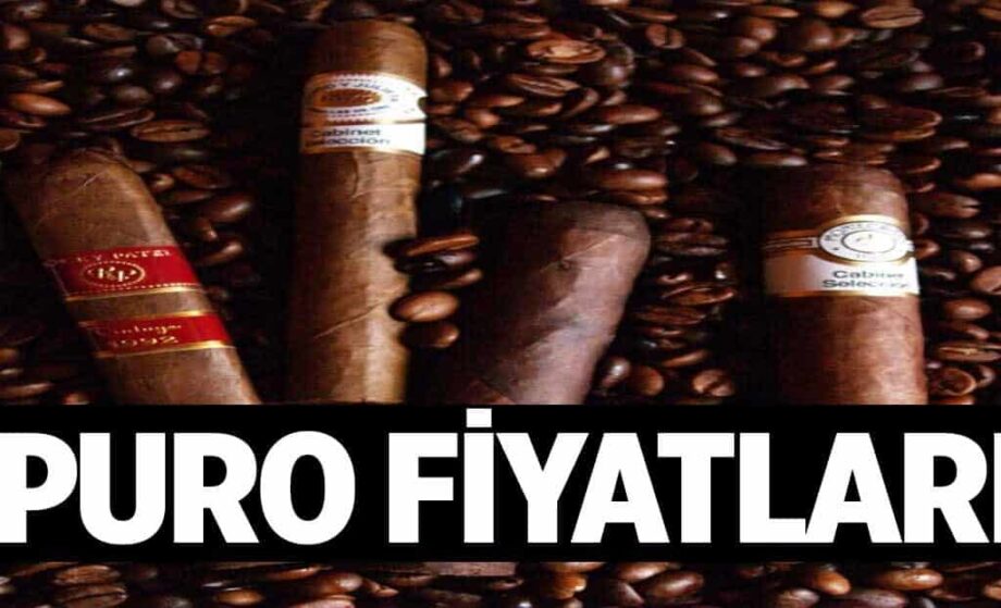 Puro Fiyatlari 1024x622v7T.jpg