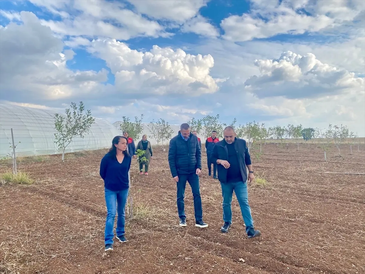 Pınarhisar Kaymakamı Çiftçileri Ziyaret Etti pinarhisar kaymakami ciftcileri ziyaret etti PtqgBzDz.jpg