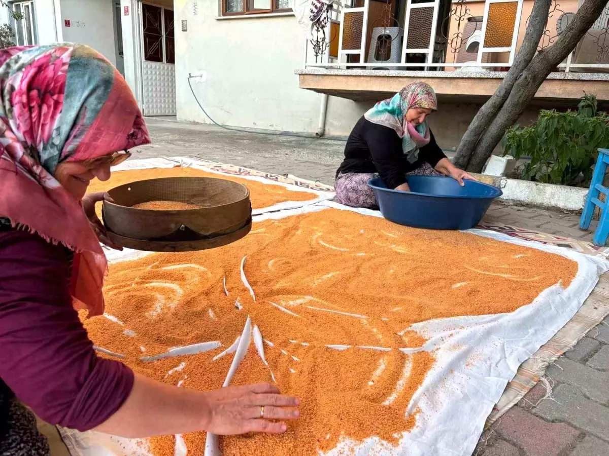 Sındırgı’da Geleneksel Tarhana Hazırlığı sindirgida geleneksel tarhana hazirligi UXdyxeji.jpg