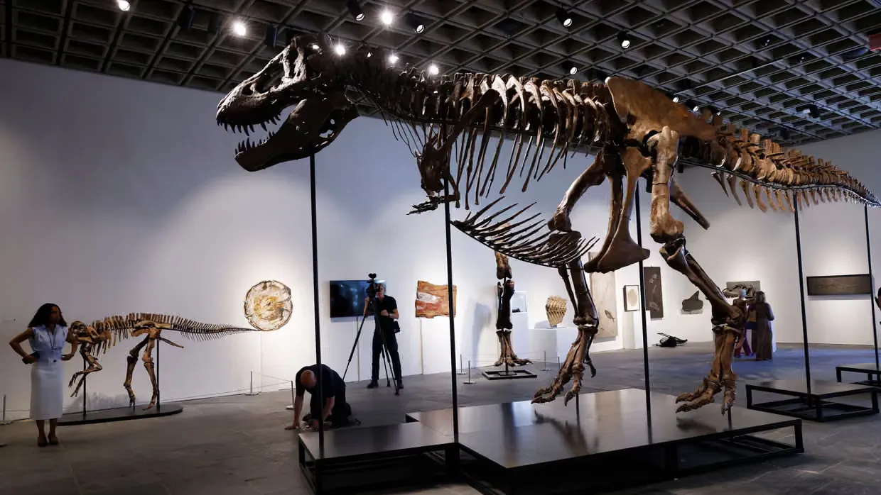 T rex iskeleti 501 milyon dolara satildi muzayede rekoru kirdi pKWFd7Fu
